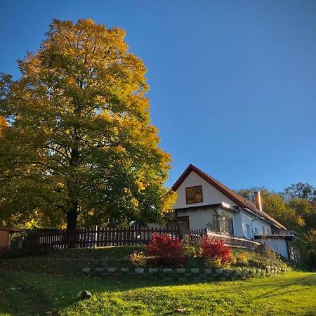 Ferienhaus Koller Güssing エクステリア 写真