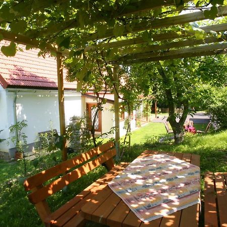 Ferienhaus Koller Güssing エクステリア 写真