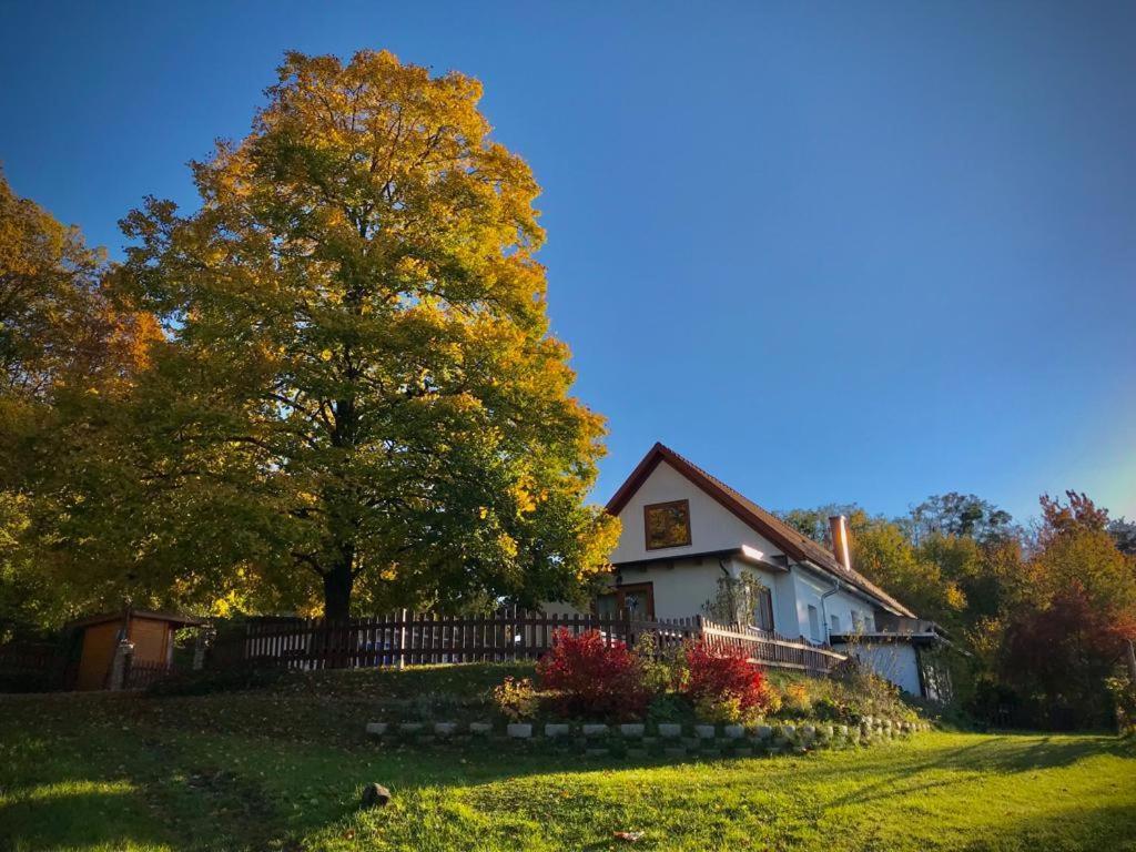 Ferienhaus Koller Güssing エクステリア 写真