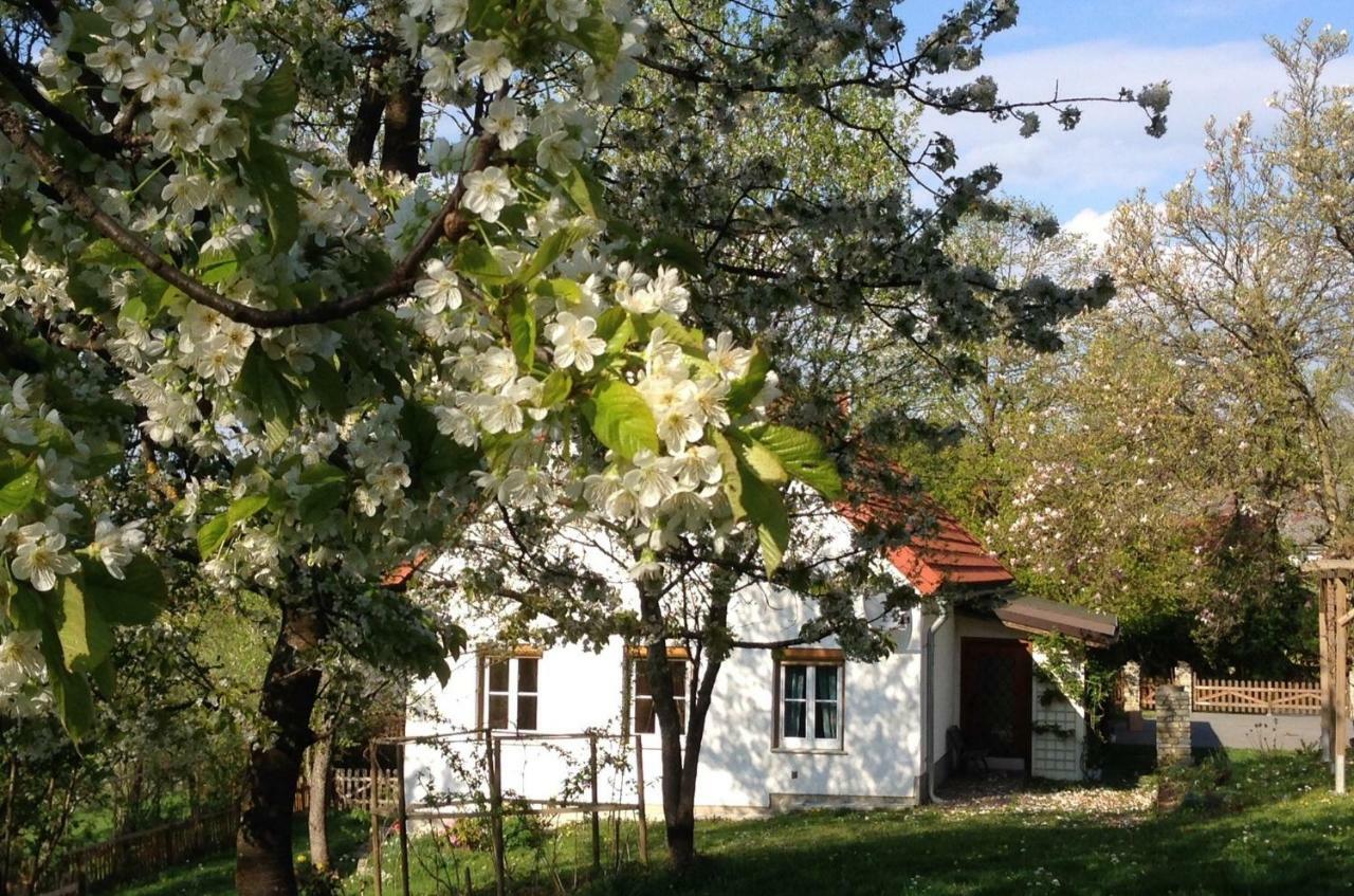 Ferienhaus Koller Güssing エクステリア 写真