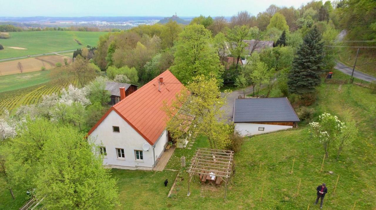Ferienhaus Koller Güssing エクステリア 写真